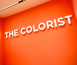 The Colorist